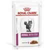 Royal canin gatto renal pesce 12 buste 85 gr