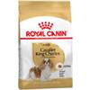 Royal Canin Cavalier King Charles Adult - sacchetto da 1,5kg