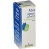 Boiron Ribes Nigrum Gemme 1DH Medicinale Omeopatico, 60ml
