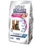 Royal Canin Kitten 400 gr