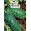 Tesoro della Terra Carosello Spuredda Leccese