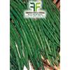 Tesoro della Terra Fagiolo Nano Mangiatutto Dolico Pinto 50 gr