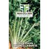 Tesoro della Terra Invidia Scarola Cardoncella Barese