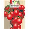 Tesoro della Terra Pomodoro "a Grappoli d'Inverno sel. Galatino"