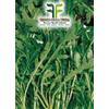 Tesoro della Terra Rucola "Selvatica Frastagliata"