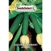 Tesoro della Terra Zucchino "Diamant Hybrid "