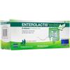 Enterolactis Sofar Linea Intestino Sano Enterolactis Integratore Fermenti 12 Flaconcini 10 ml