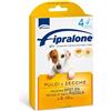 FORMEVET FIPRALONE SPOT-ON CANI TAGLIA PICCOLA DA 2 A 10 KG 4 PIPETTE