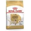 ROYAL CANIN Labrador Retriver adult 12kg