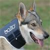 BFT MEDICAL S.R.L. Collare rigido Balto BT NECK Taglia M Ø 45/55