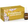 Montefarmaco Vitalmix Pappa Reale - Integratore energia e difese, 10 flaconcini da 10 mL