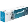 Equality lactanase pro pasta siringa 50 gr