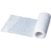 PHYTO PERFORMAN PERFORMANCE ZINCABEND 10X5 Benda Zincata