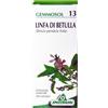 Specchiasol Gemmosol 13 Linfa Di Betulla Drenante e Depurativa, 50ml