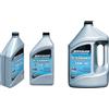 Quicksilver Olio Quicksilver per motori fuoribordo 4 Tempi - 10W-30 4 LT"