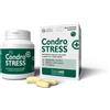 Condrostress Innovet condrostress+ 60 compresse masticabili