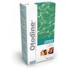 ICF OTODINE 50 ML