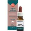 ERBA VITA GROUP SpA Anice Stellato Olio Essenziale Erba Vita 10ml