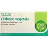 Teva Carbone Vegetale Integratore Alimentare 40 Compresse