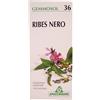Specchiasol Gemmosol 36 Ribes Nero Integratore Alimentare 50 ml