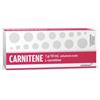 Alfasigma Spa Carnitene 1 G/10 Ml Soluzione Orale 10 Contenitori Monodose