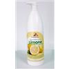 Ristosubito Insaporitore\Sciroppo aromatizzato gusto LIMONE concentrato per granita Bottiglie da gr.1000 in cartoni da 6 bottiglie Modello 859