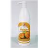 Ristosubito Insaporitore\Sciroppo aromatizzato gusto MELOLE concentrato per granita Bottiglie da gr.1000 in cartoni da 6 bottiglie Modello 861