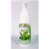 Ristosubito Insaporitore\Sciroppo aromatizzato gusto MENTA concentrato per granita Bottiglie da gr.1000 in cartoni da 6 bottiglie Modello 862