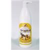 Ristosubito Insaporitore\Sciroppo aromatizzato gusto TROPICAL concentrato per granita Bottiglie da gr.1000 in cartoni da 6 bottiglie Modello 863