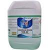 Chemartis Antialghe liquido svernante per piscina 10L