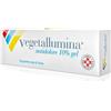 Pietrasanta Pharma Vegetallumina Antidolore 10% Gel Ibuprofene Sale di Lisina Antidolorifico Locale, 50g