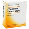 GUNA SpA Coenzyme Compositum 10 Fiale 2,2ml Heel