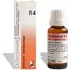 DR.RECKEWEG & CO. Dr. Reckeweg R4 Gocce 22 Ml