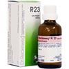 DR.RECKEWEG & CO. GmbH Reckeweg R23 Gocce 22ml