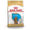 Royal Canin Breed Royal Canin Puppy Cocker Spaniel cibo per cane 3 kg