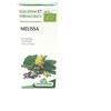 Specchiasol Gemmosol 17 Melissa Integratore Alimentare 50 ml