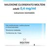 Molteni Naloxone Clor Molt Adulti 0,4 Mg/Ml Soluzione Iniettabile 1 Fiala Da 1 Ml