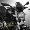Biondi cupolino 8010295 per ducati monster 696