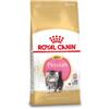 Royal Canin Breed Royal Canin gattino Persiano 10 kg