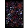 MOOOI CARPETS tappeto FOOL'S PARADISE RECTANGLE Signature collection - S160003
