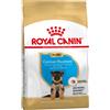Royal Canin German Shepherd Puppy 12 kg