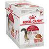 Royal Canin Instinctive Adult Gravy 85 gr In Salsa Umido Gatto