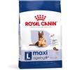 Royal Canin Maxi Ageing 8 + kg 15 Secco Cane