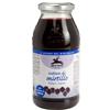 ALCE NERO ALCE Nett.Mirtillo Bio 500ml