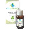 ERBORISTERIA MAGENTINA Srl LAVANDA Olio Ess.10ml ERM