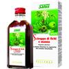 SALUS HAUS Gmbh & Co KG Salus Sciroppo Fichi E Manna 200ml