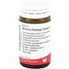 WALA ITALIA Bronchi Plantago Comp 20 G Globuli Wala