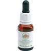 BUSH BIOTHERAPIES Pty Ltd BUSH FUCHSIA Gocce 15ml