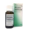 GUNA SpA Phosphorus Homaccord Gocce 30ml Heel
