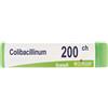 BOIRON Srl Colibacillinum 200Ch Globuli Monodose Boiron